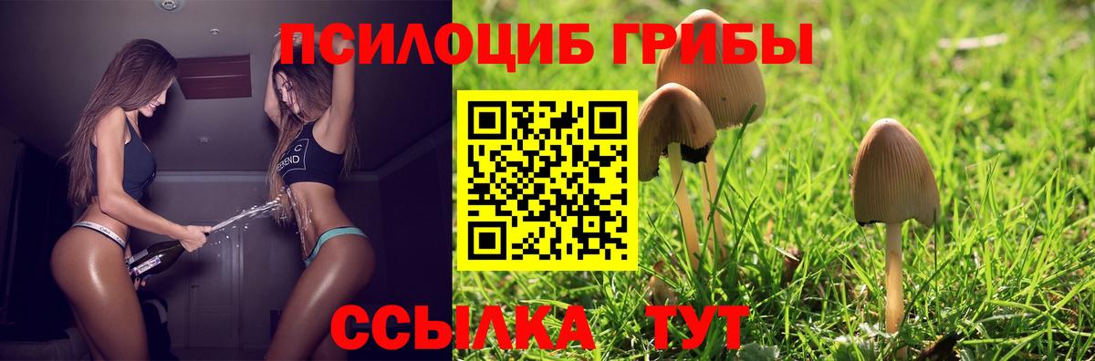 Саяногорск  Галлюциногенные грибы Cubensis  Псилоцибиновые грибы Magic Shrooms  Вход с VPN 