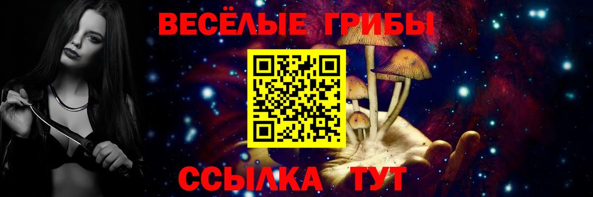 Псилоцибиновые грибы прущие грибы Саяногорск